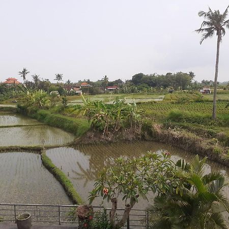Griya Bun Sari Apartment Sukawati  Luaran gambar