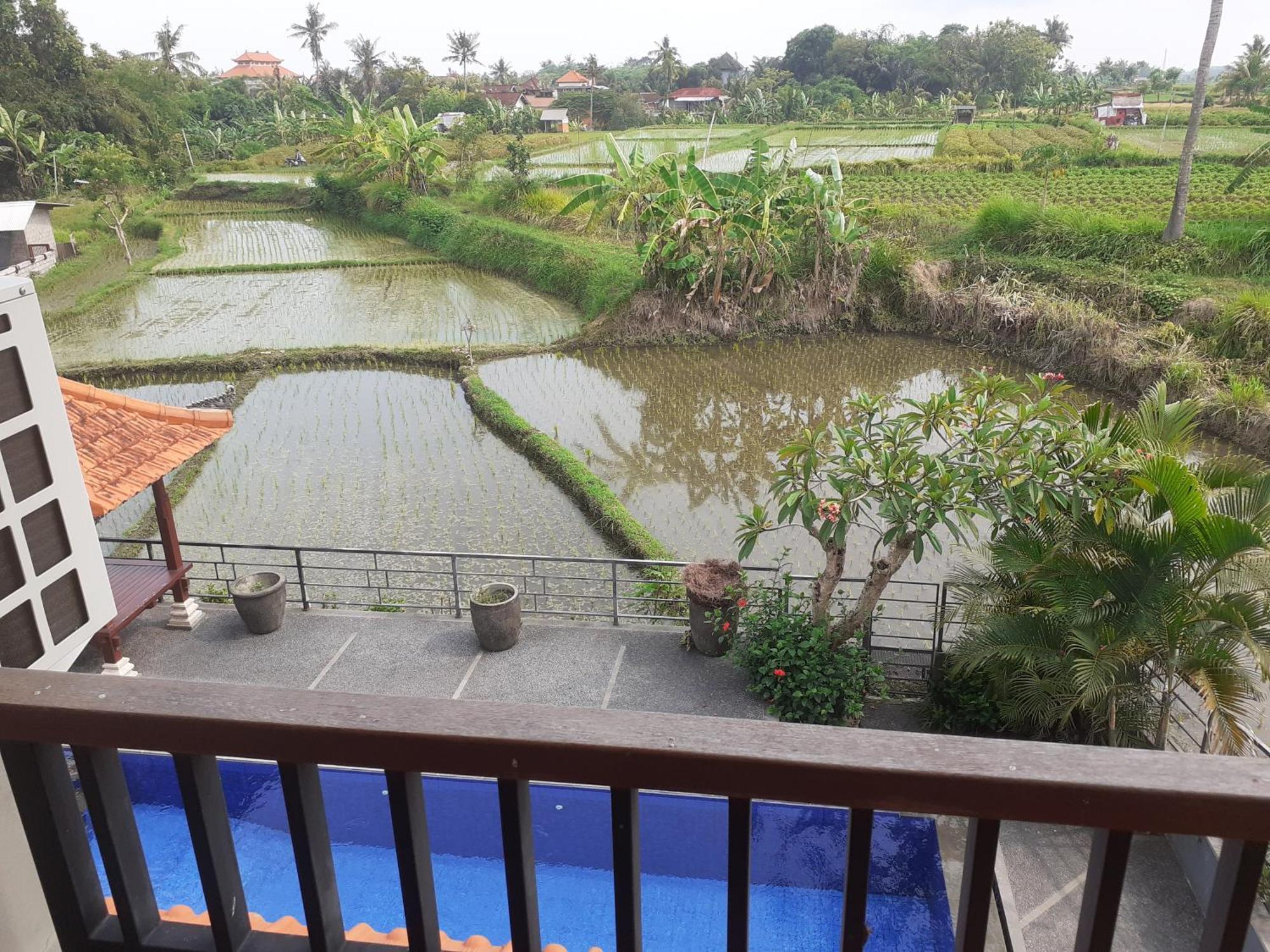 Griya Bun Sari Apartment Sukawati  Luaran gambar