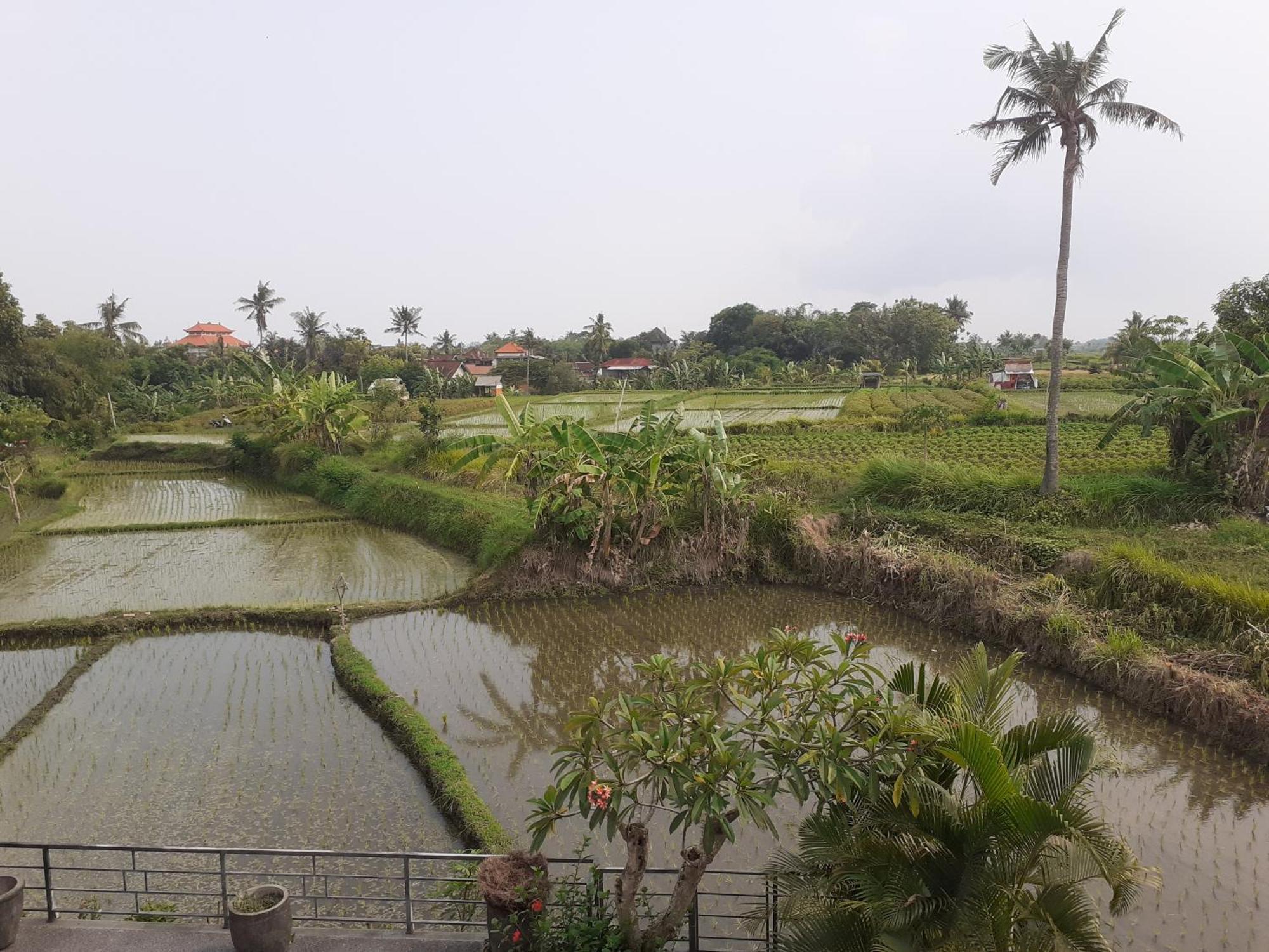 Griya Bun Sari Apartment Sukawati  Luaran gambar