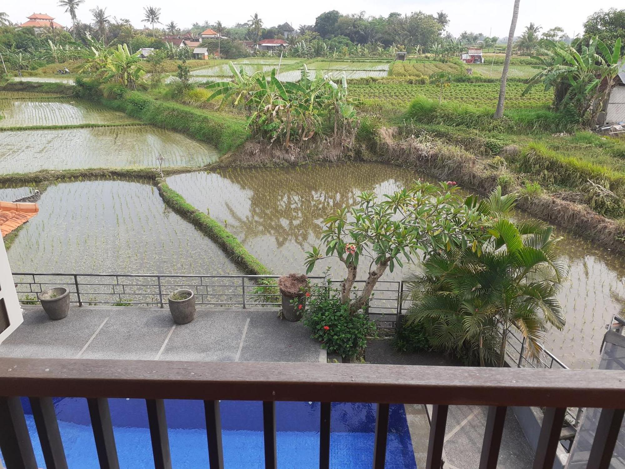 Griya Bun Sari Apartment Sukawati  Luaran gambar