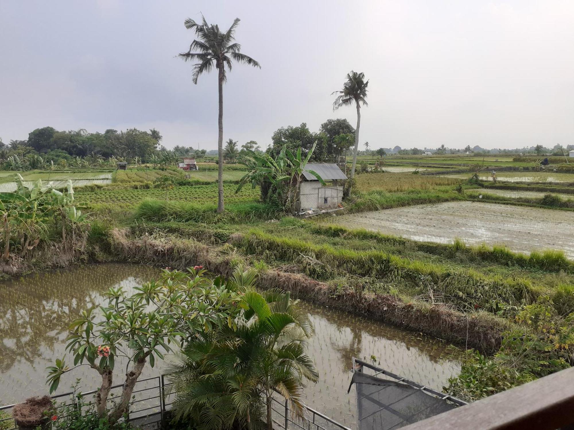 Griya Bun Sari Apartment Sukawati  Luaran gambar