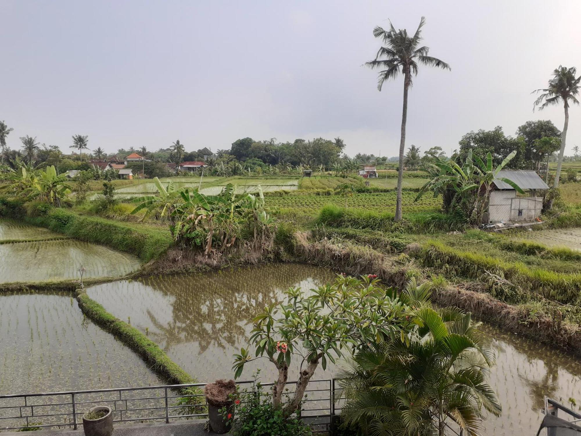 Griya Bun Sari Apartment Sukawati  Luaran gambar