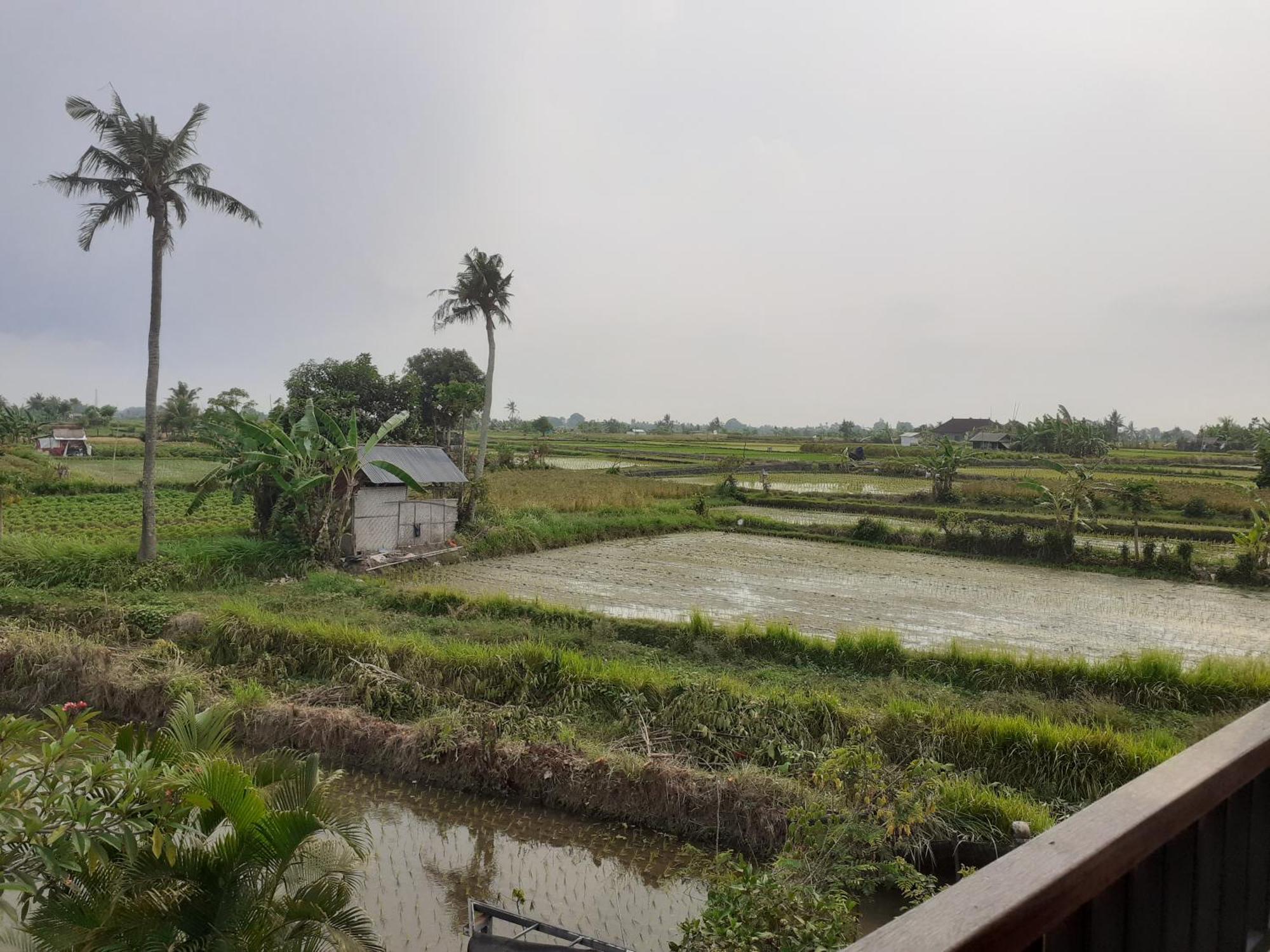 Griya Bun Sari Apartment Sukawati  Luaran gambar