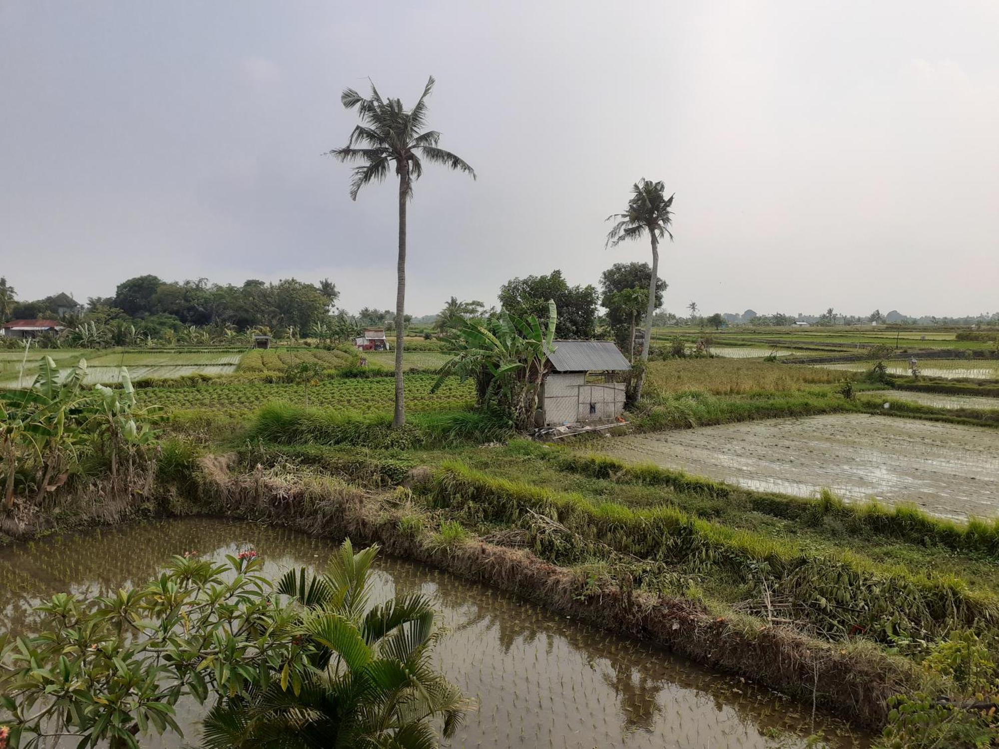 Griya Bun Sari Apartment Sukawati  Luaran gambar