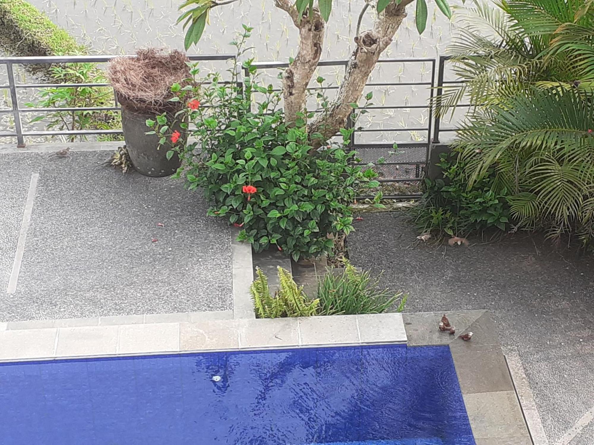 Griya Bun Sari Apartment Sukawati  Luaran gambar