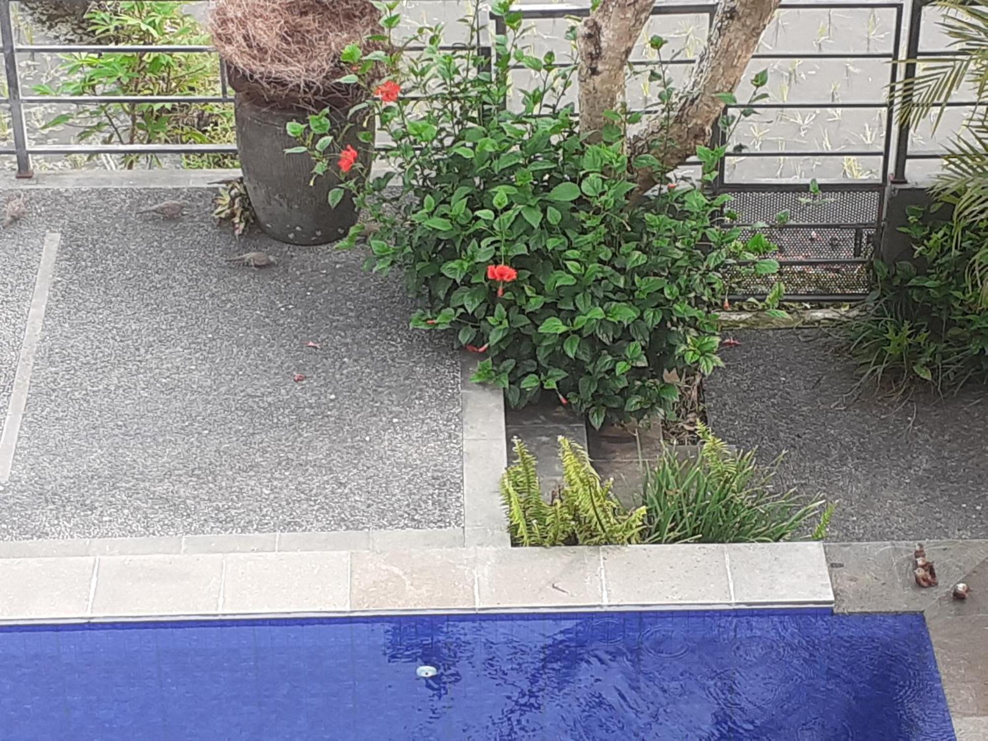 Griya Bun Sari Apartment Sukawati  Luaran gambar