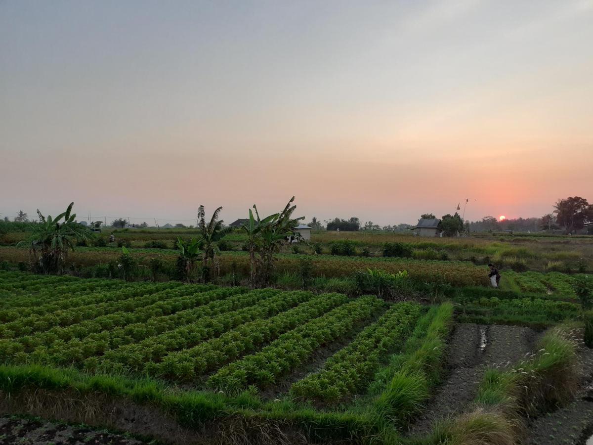 Griya Bun Sari Apartment Sukawati  Luaran gambar